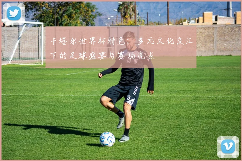 卡塔尔世界杯特色:多元文化交汇下的足球盛宴与赛场亮点
