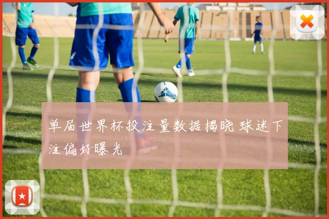 单届世界杯投注量数据揭晓 球迷下注偏好曝光