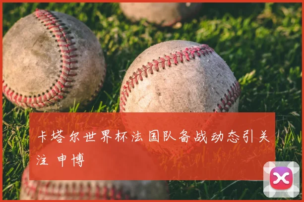 卡塔尔世界杯法国队备战动态引关注 申博