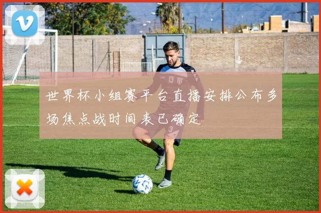 世界杯小组赛平台直播安排公布多场焦点战时间表已确定